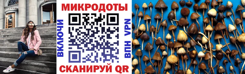 Купить закладки  Кашира  Галлюциногенные грибы мухоморы 